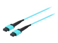 25555707 4015867192610 Equip Pro - Patch-Kabel - MTP  Etree Shop Deutschland online 1
